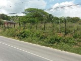 Whitehouse Commercial Lot ID 1778 HCA789, Westmoreland, Jamaica - Commercial/farm land for Sale